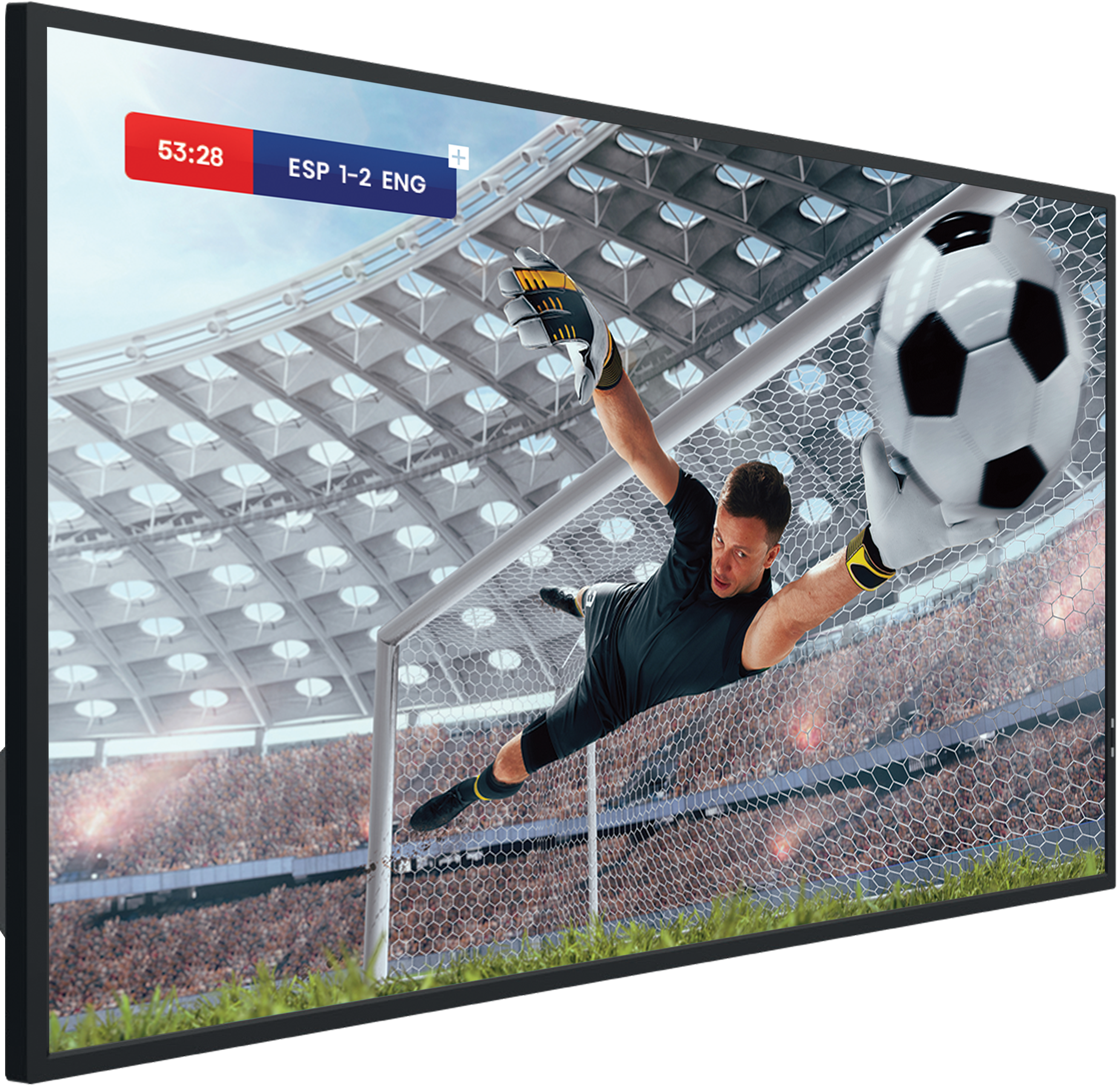 Hisense DM Series Display